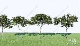 鑳栨簻婧滅殑浠欏 鑳栨簻婧滅殑浠欏